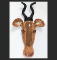 Antelope