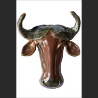 Water Buffalo