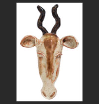 Springbok