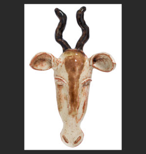 Springbok