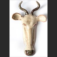 Springbok